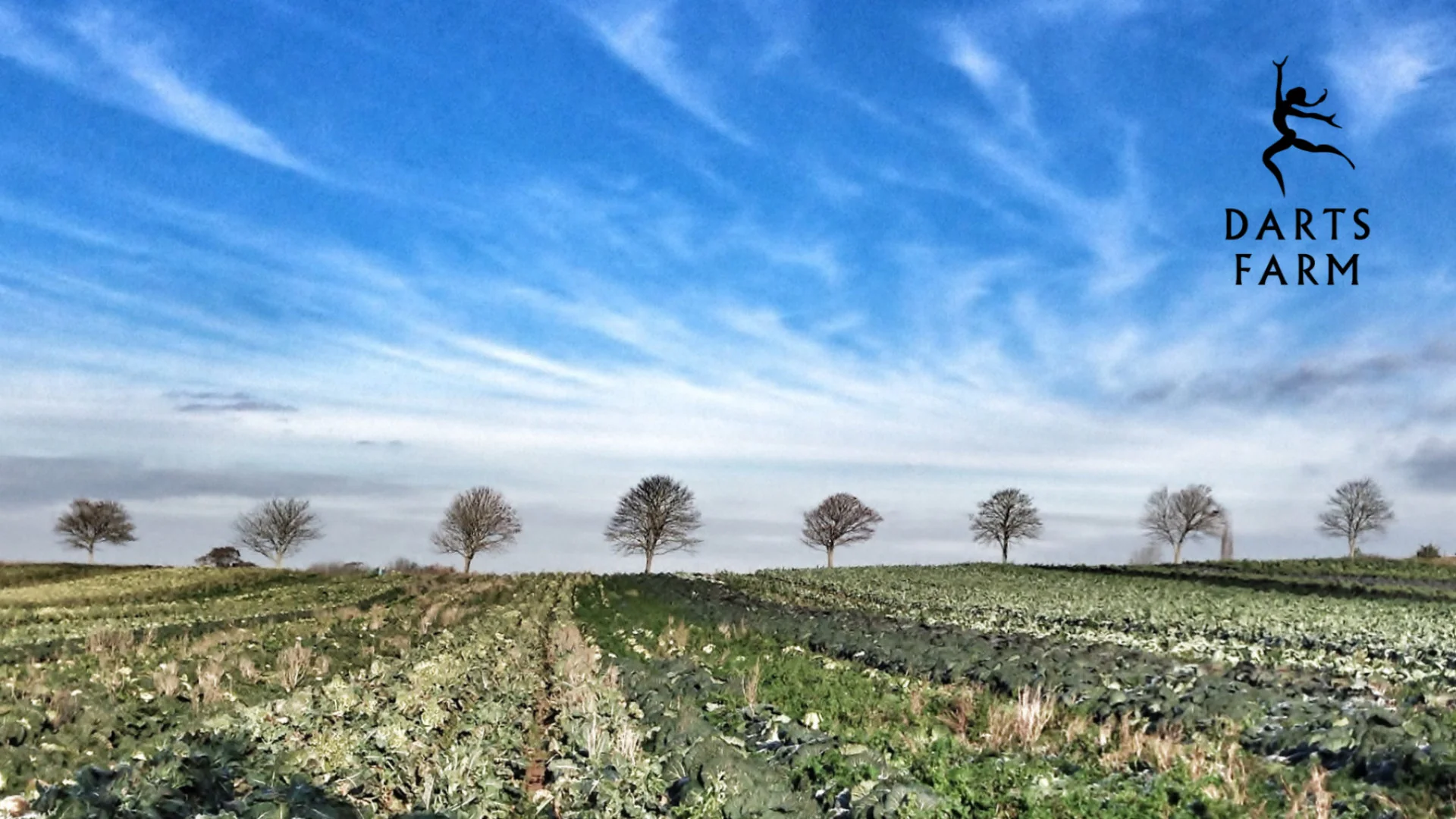 Test Darts Farm Summer Festival